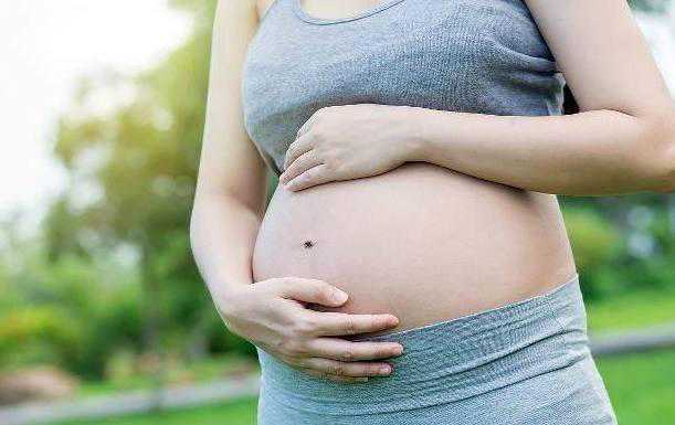 女性取卵卵巢保养指南：让卵巢健康再出发