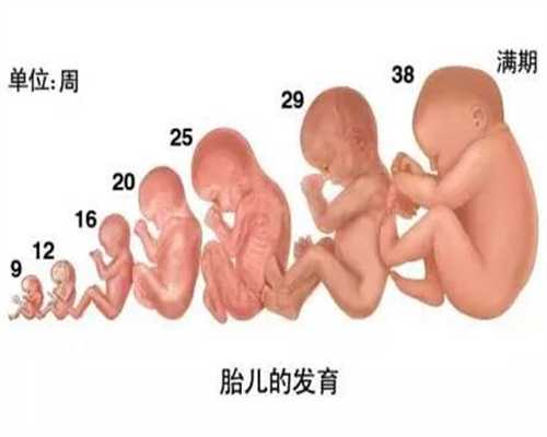 中国2019年合法代怀孕 ：唐熠达教授心衰合并甲功