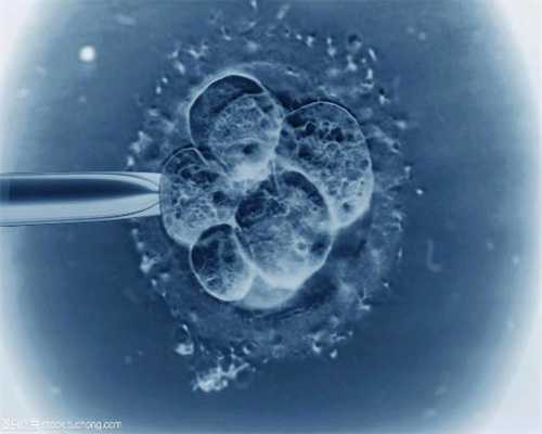 代孕网 神州中泰代孕网：那个我国首个生下五胞