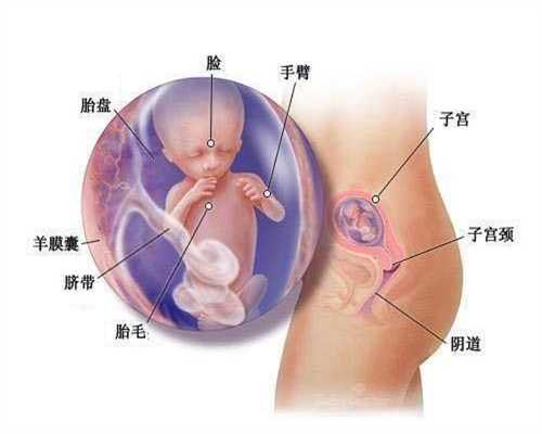 代孕医院 ：试管婴儿试管婴儿的条件及前期所需