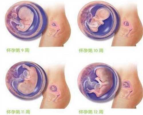 提供代孕的公司有哪些：代孕前3个月，胎儿最怕