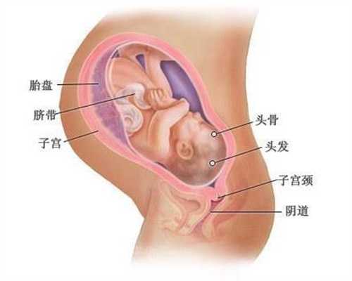 北京喜临门代孕：孕期不可取的5个传统饮食习惯