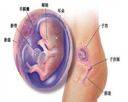 到泰国代孕多少钱：怎样治疗精囊炎效果较好