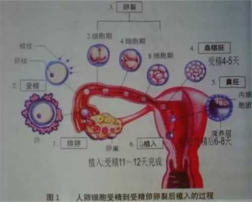 北京69助孕：输卵管堵塞可以用B超检查出来吗？