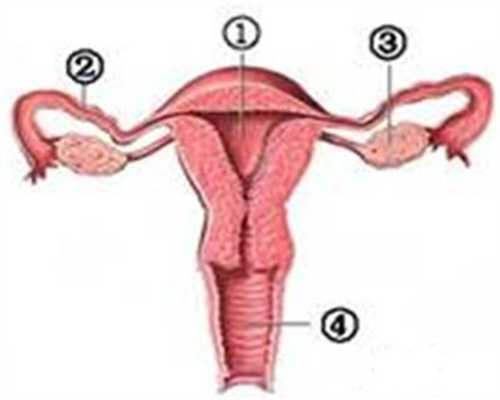 不孕女性要不要进行腹腔镜检查