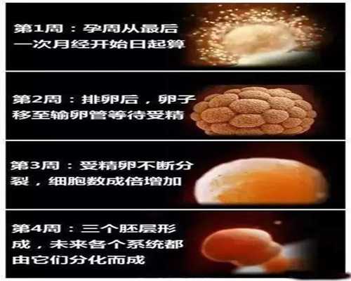 北京供卵试管:睾丸异常性不育的症状、危害和预