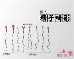 北京助孕公司品质，北京繁华的公交线路-1路