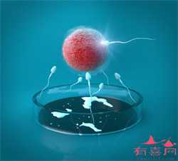 北京单身男性做代孕，北京做试管婴儿麻烦吗？