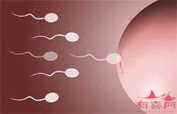 北京有没有捐卵，北京哪有做试管婴儿的 取卵会疼吗