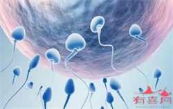 北京助孕包成功女孩,2022北京三代试管助孕医院名单，附三代生男孩费用成功率