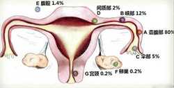 北京代怀生子公司,2023北京试管代怀生子助孕机构排名一览