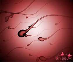 北京代怀联系,2023年北京做试管能包生男孩医院排名，附试管代怀助孕生子机构