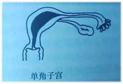 北京代孕生殖中心具体位置，北京私立试管生殖中心排名